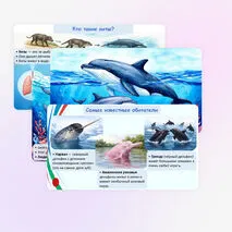 Презентация «Всемирный день китов и дельфинов».