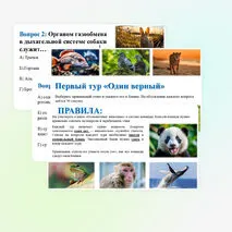 Квиз по теме 