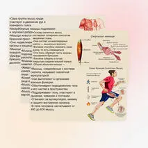 Презентация 