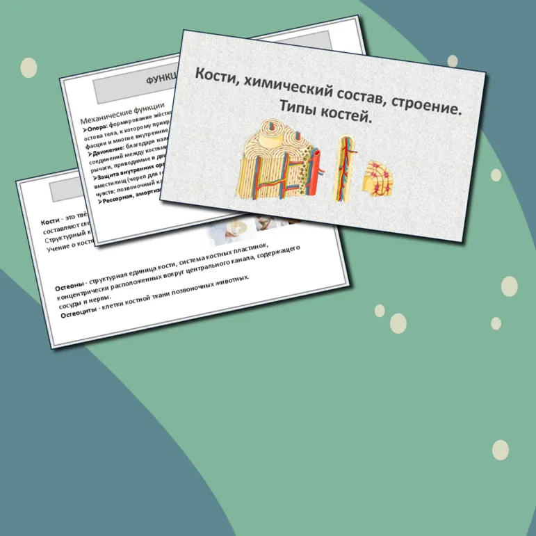Презентация 