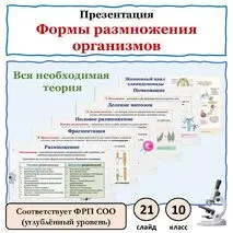 Презентация по биологии 