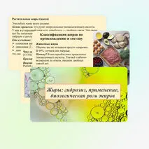 Презентация «Жиры: гидролиз, применение, биологическая роль жиров»