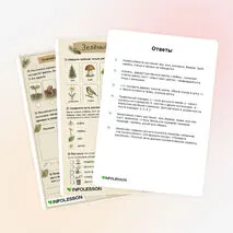 Рабочий лист «Зелёный мир»