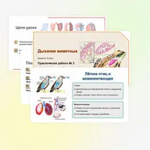 Презентация: 