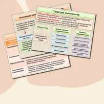 Политология в системе общественных наук. Структура, методы и функции политологии. Обществознание. 11 класс. Презентация к уроку