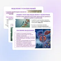 Презентация по биологии «Выделение у животных» для 8 класса