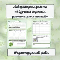 Лабораторная работа «Изучение строения растительных тканей»
