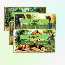 Викторина «Кабан» Е.И. Чарушин