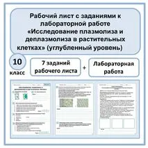 Рабочий лист + лабораторная работа «Исследование плазмолиза и деплазмолиза в растительных клетках» 10 класс (углубленный уровень)