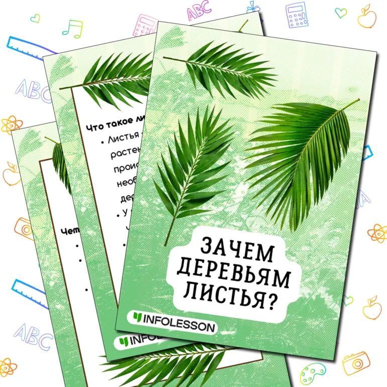 Папка-передвижка «Зачем деревьям листья?»