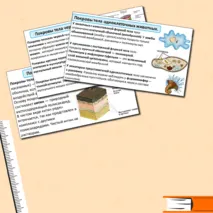 Презентация по теме: «Покровы тела у животных». + Практическая работа №5 «Изучение покровов тела у животных».