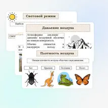Презентация 