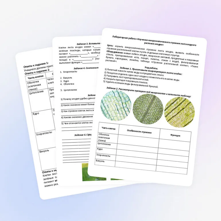 Лабораторная работа «Изучение микроскопического строения листа водного растения элодеи»