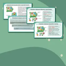 Комплект (конспект + презентация + рабочий лист + лабораторная работа + тест) «Растительная клетка, ее изучение. Лабораторная работа «Изучение микроскопического строения листа водного растения элодеи»». Биология 6 класс