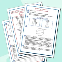 Рабочий лист по географии 