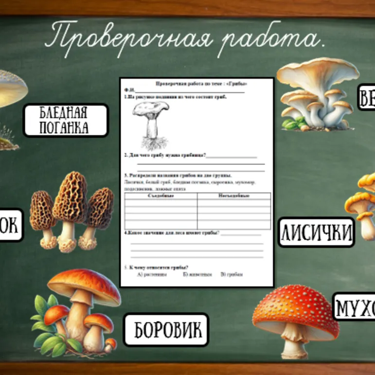 Проверочная работа. Окружающий мир 