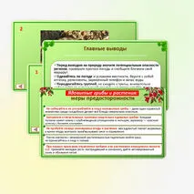 Презентация по ОБЗР по теме: «Правила безопасного поведения в природной среде». 9 класс.