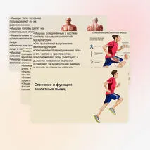 Презентация 