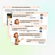 Презентация «Как устроены и работают органы чувств».