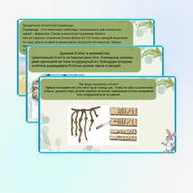 Презентация 