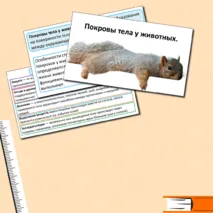 Презентация по теме: «Покровы тела у животных». + Практическая работа №5 «Изучение покровов тела у животных».