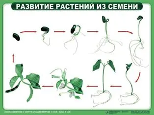 https://docs.google.com/viewer?url=http%3A%2F%2Fnsportal.ru%2Fsites%2Fdefault%2Ffiles%2F2014%2F05%2F18%2Ftablitsy_po_okr._miru.ppt&docid=705950a2970a114588092457583edfff&a=bi&pagenumber=8&w=524