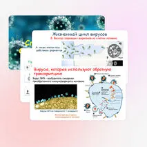 Презентация по биологии 