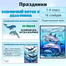 Всемирный день китов и дельфинов. Презентация.