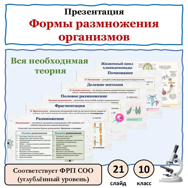 Презентация по биологии 