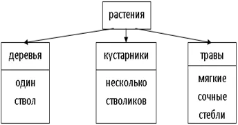 http://pandia.ru/text/80/055/images/image001_15.png