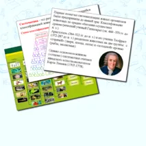 Презентация по биологии.Основные систематические категории животных.