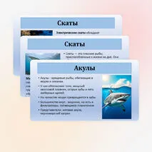 Презентация по биологии «Хрящевые и костные рыбы» 8 класс