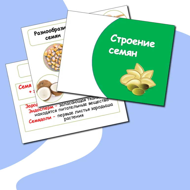 Презентация 
