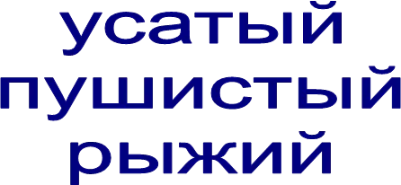 усатый
пушистый
рыжий