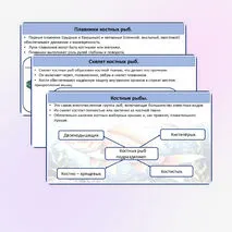 Хрящевые и костные рыбы.