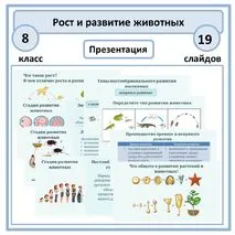 Презентация по биологии 