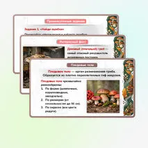 Презентация 