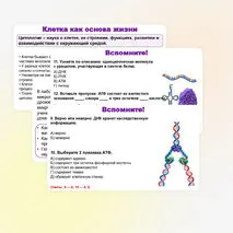 Презентация по биологии (10 класс) «История и методы изучения клетки. Клеточная теория» (В.В. Пасечник)