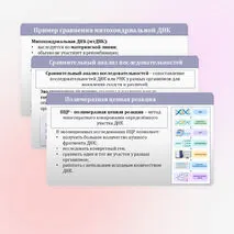 Презентация «Молекулярно-генетические, биохимические и математические методы изучения эволюции» 11 класс (углубленный уровень)