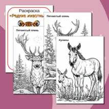 Раскраска 