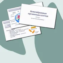 Презентация по биологии «Немембранные органоиды клетки» 10 класс (углубленный уровень)