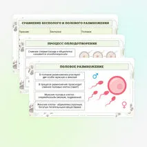 Презентация по биологии «Формы размножения животных»