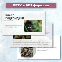 Презентация «Многообразие кишечнополостных» к учебнику по биологии для 7 класса- Пасечник В.В., Суматохин С.В. и др.