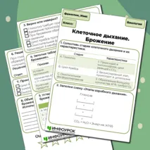 Рабочий лист по биологии 