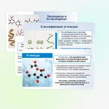 Презентация по биологии «Углеводы. Липиды» для 10 класса