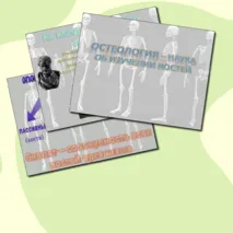 Презентация «Строение, химический состав и виды костей»