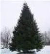 Рисунок12ы