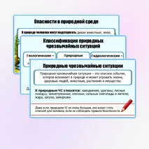 Презентация «Правила безопасного поведения в природной среде». ОБЗР. 9 класс