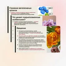Презентация «Особенности строения и жизнедеятельности покрытосеменных растений»