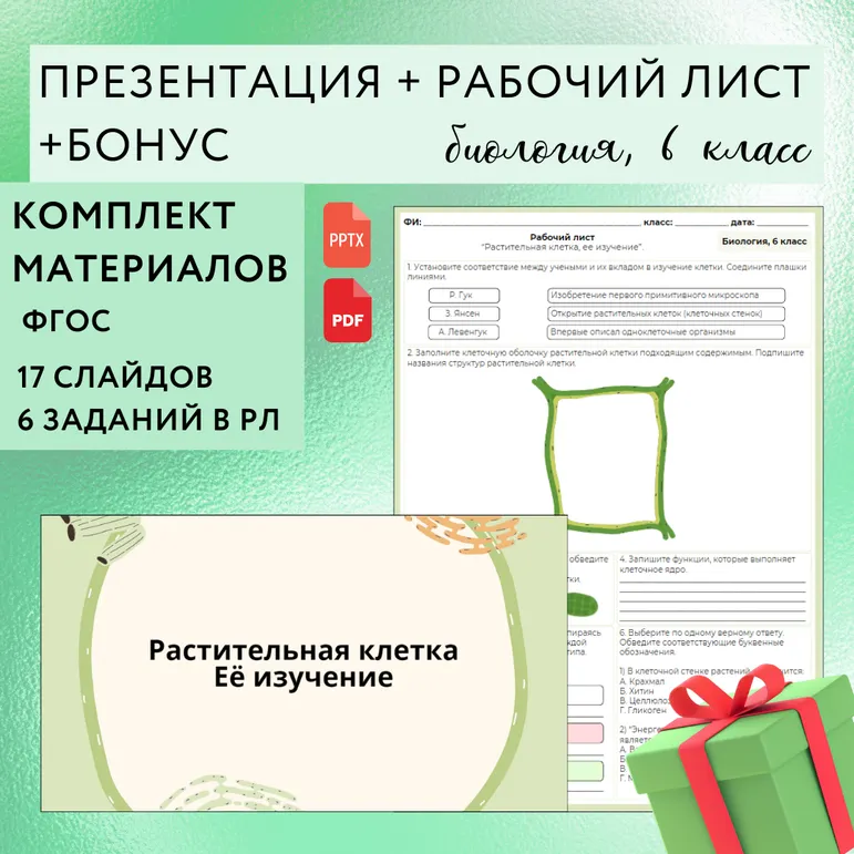 «Строение растительной клетки», 6 класс